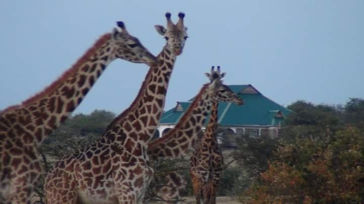 Narasha Homestay - Maasai Mara Talek Bagian luar foto