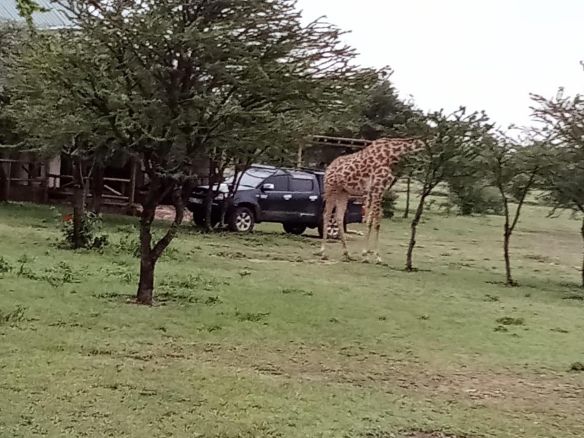 Narasha Homestay - Maasai Mara Talek Bagian luar foto