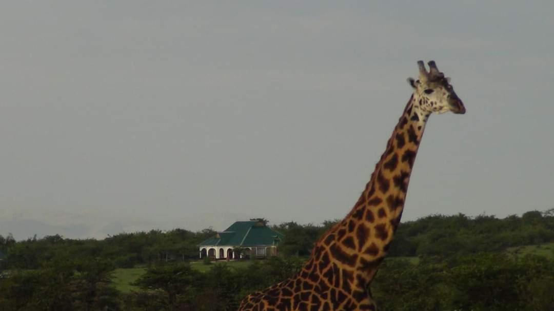 Narasha Homestay - Maasai Mara Talek Bagian luar foto