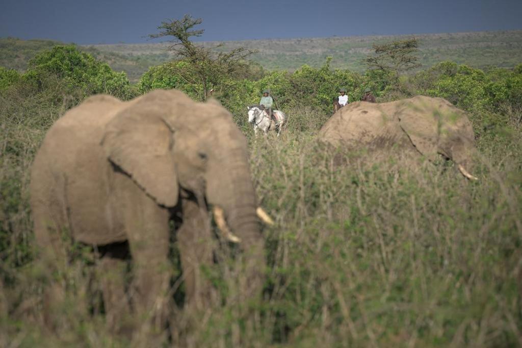 Narasha Homestay - Maasai Mara Talek Bagian luar foto