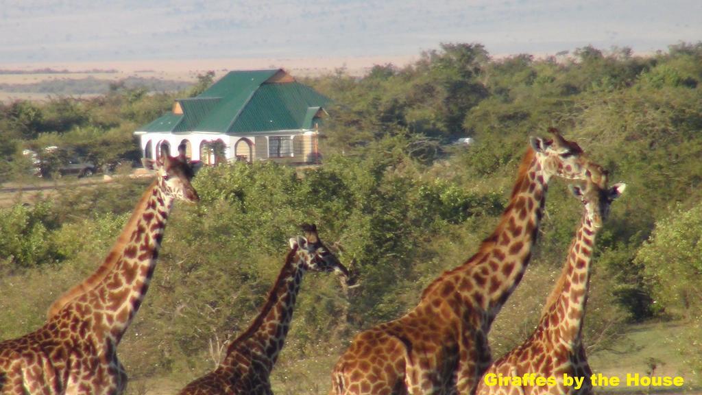 Narasha Homestay - Maasai Mara Talek Bagian luar foto