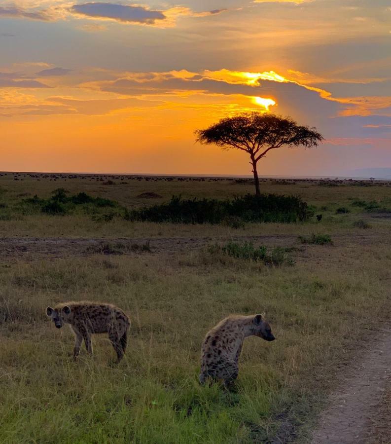Narasha Homestay - Maasai Mara Talek Bagian luar foto